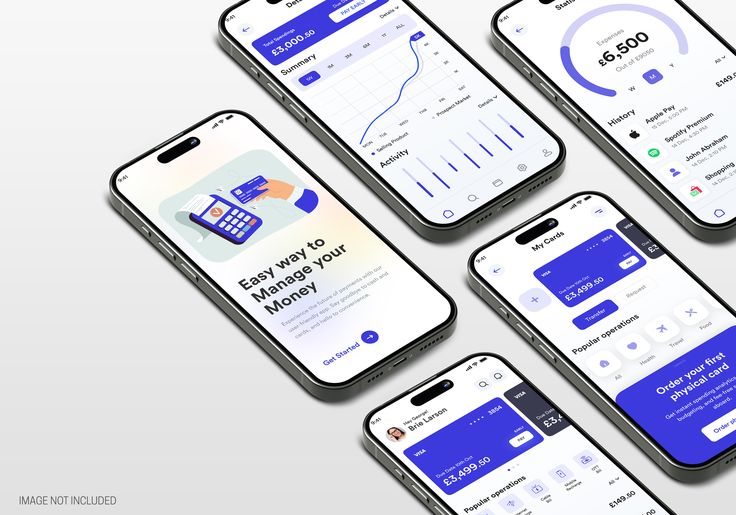 Money Management App UI